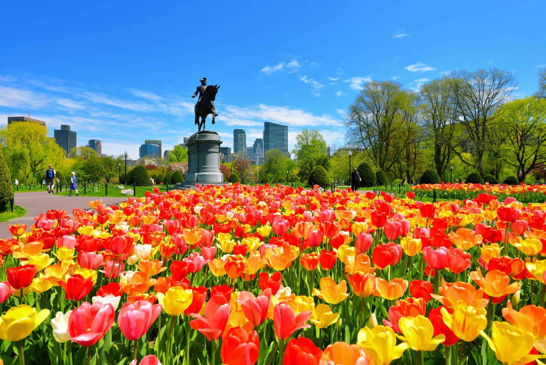 10 Charming Travel Experiences in Boston in Spring